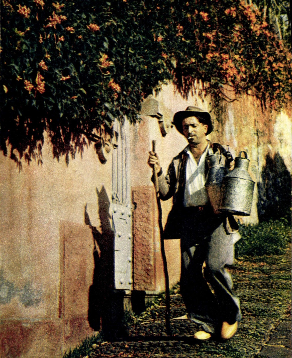 CPM Milkman on his rounds funchal Madeira Folklore