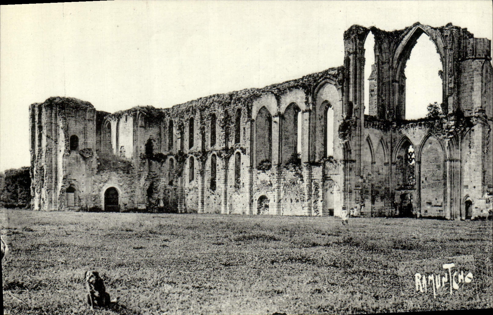 CPA Maillezais Ruines De Lancienne Cathedrale Saint Pierre