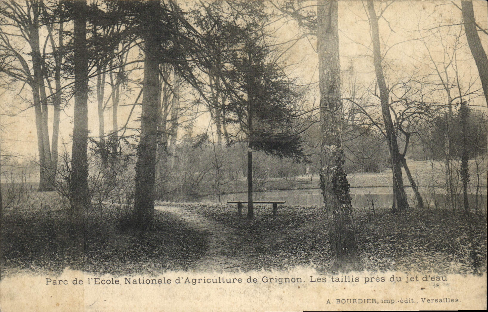 CPA Parc de l'ecole nationale d'agriculture de Grignon Les taillis pres du jet d'eau 