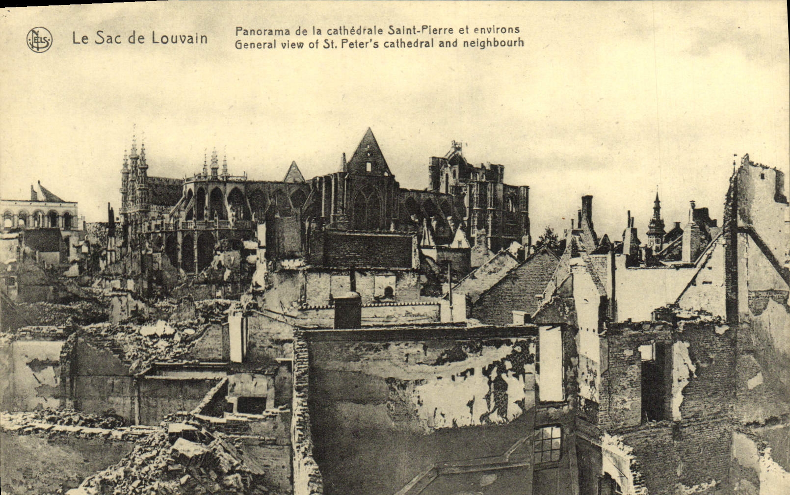 Le Sac de Louvain — Panorama de la cathédrale Saint-Pierre et environs — Nels, Louvain
