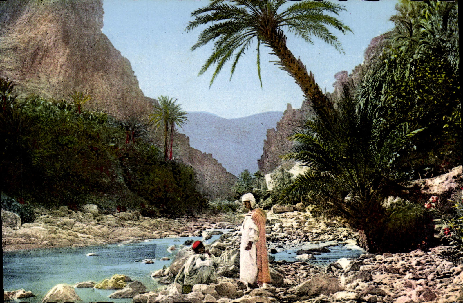 Paysage du Sud — Afrique du Nord — Éditions naturelles, Alger, n° 8.285