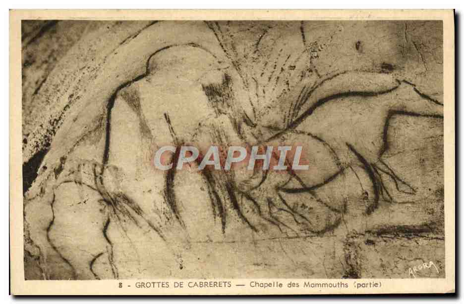 CPA Grottes De Cabrerets Chapelle Des Mammouths
