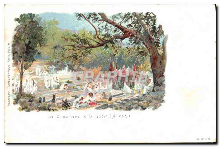 CPA Le Cimetiere D'El Kebir Blidah
