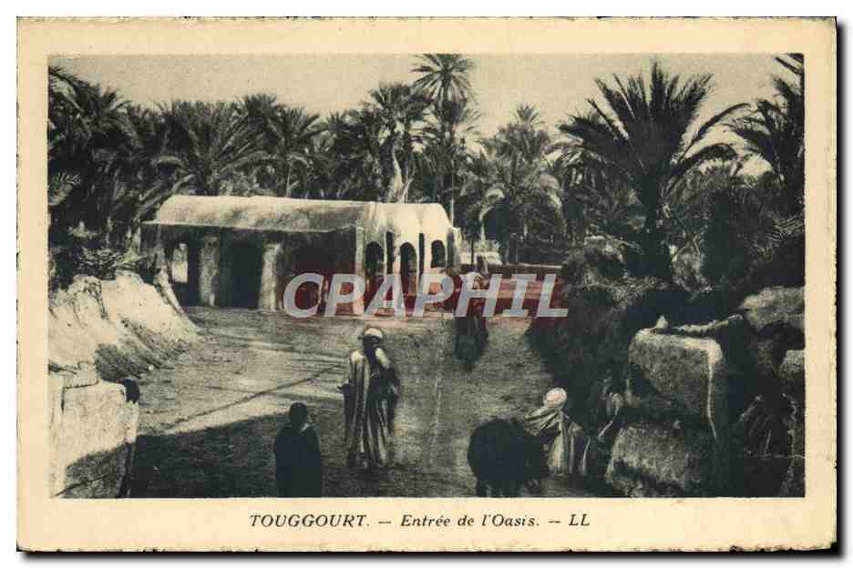 CPA Touggourt Entree De l'Oasis