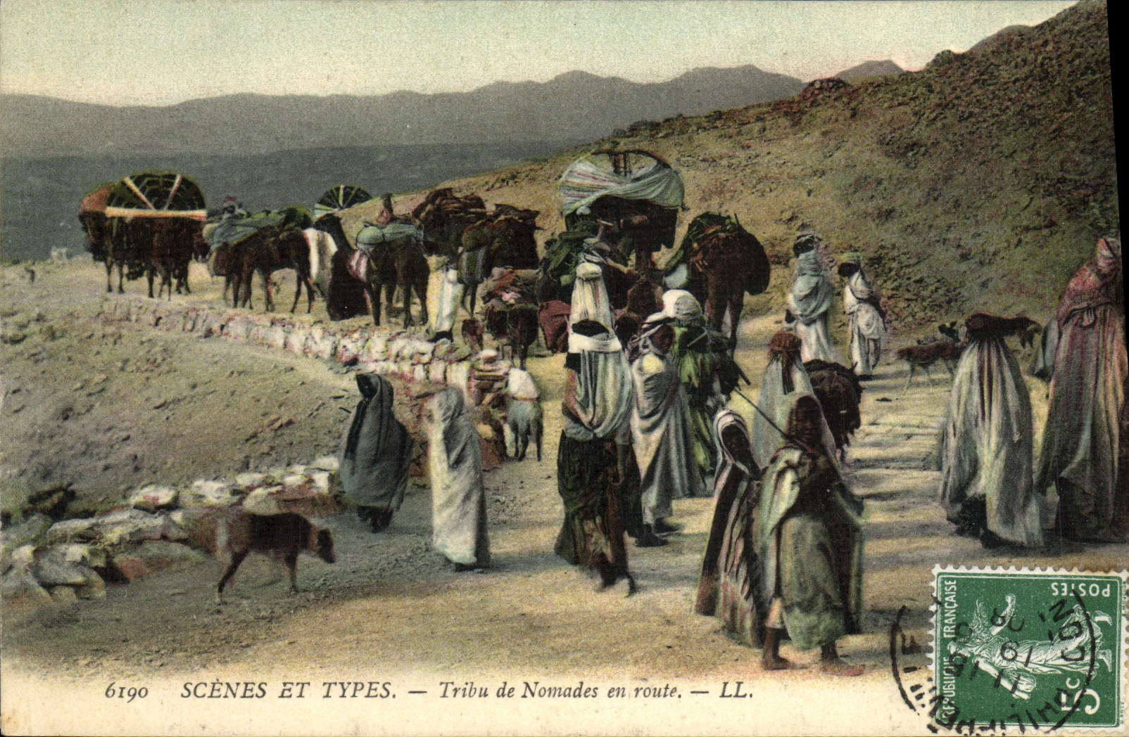 CPA Scenes Et Types Tribu de Nomades en route Chameaux