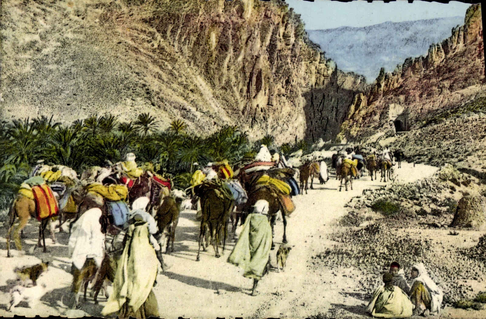 Gorges d'El Kantara — Algérie — Éditions Jonone, n° 8.292