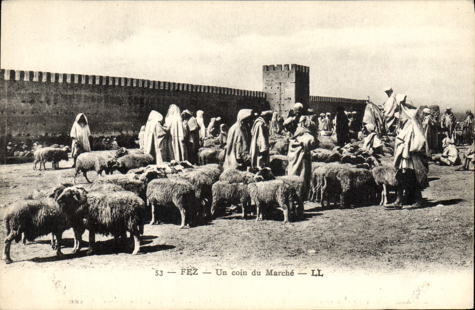 CPA Fez Un Coin Du Marche Moutons