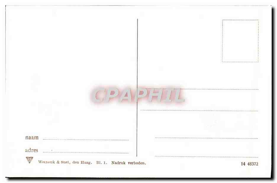 CPA Tulpenvelden Fleurs  — Verso