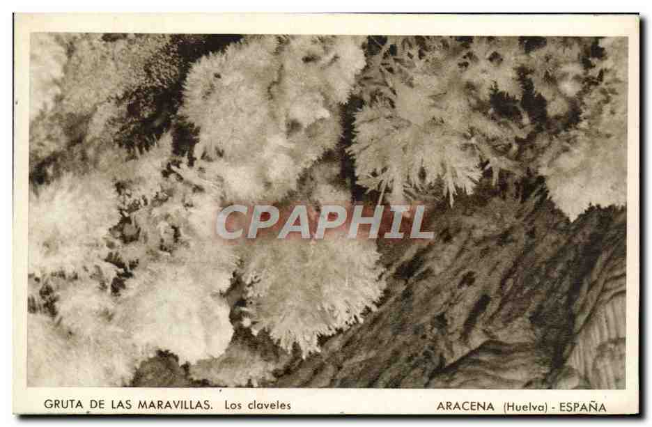 CPA Huelva Aracena Espana Gruta de las Maravillas Las Claveles