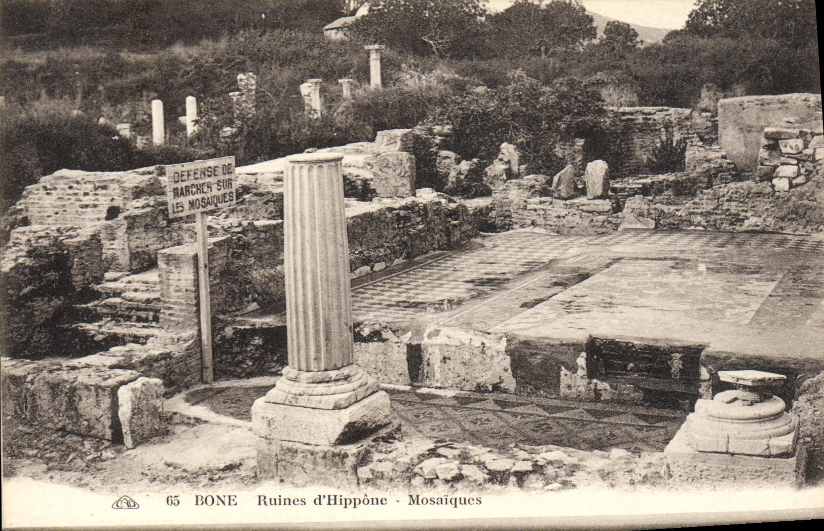 CPA Bone Ruines D'Hippone Mosaiques