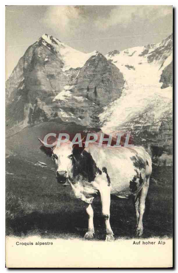 CPA Croquis Alpestre Auf Hoher Alp Vache 