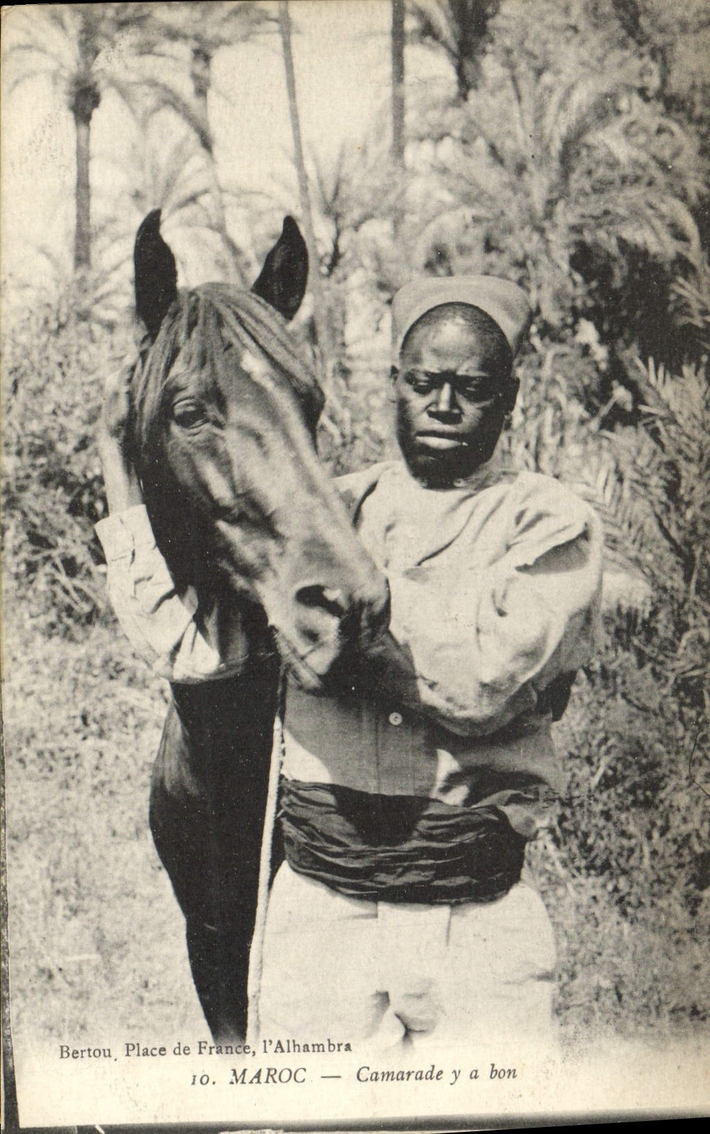 CPA Maroc Camarade Y A Bon Cheval Senegalais