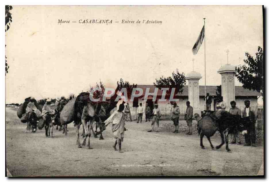 CPA Maroc Casablanca Entree De l'Aviation Chameaux Ane