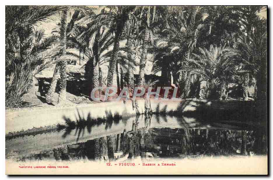 CPA Figuig Bassin a Zenaga 