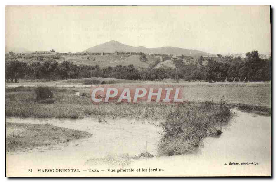 CPA Maroc Oriental Taza Vue Generale Et Les Jardins
