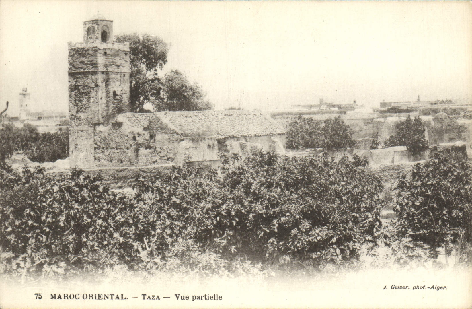 CPA Maroc Oriental Taza Vue Partielle