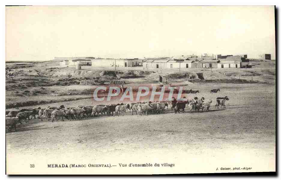 CPA Merada Vue d'Ensemble Du Village Chevres Moutons