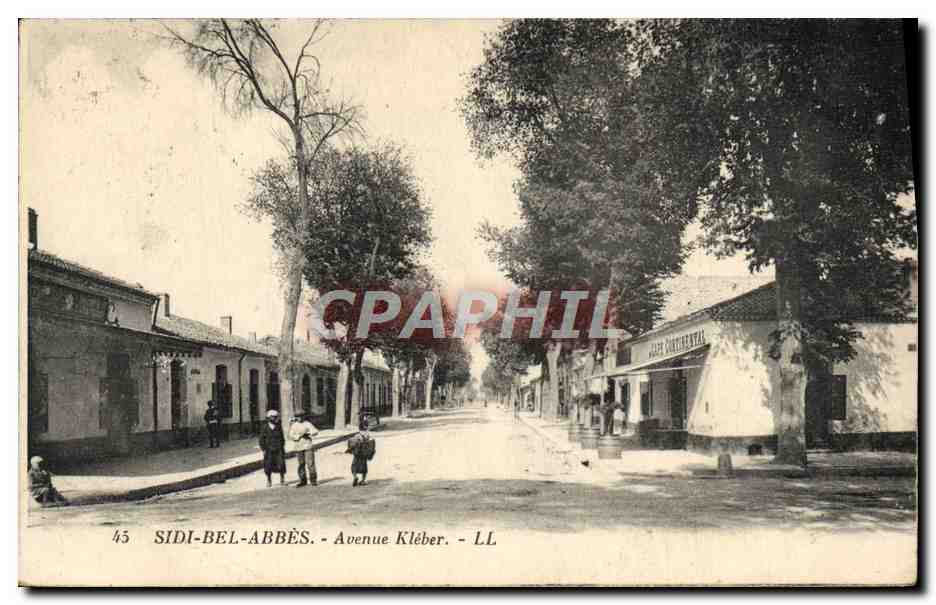 CPA Sidi Bel Abbes Avenue Kleber Cafe Continental