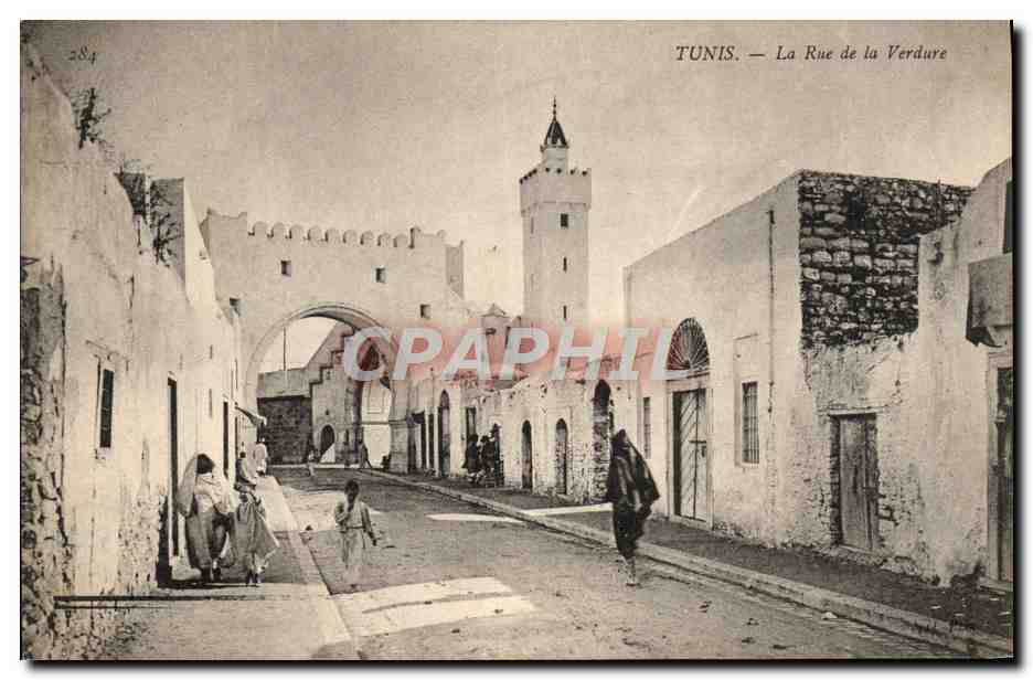 CPA Tunis La Rue De La Verdure