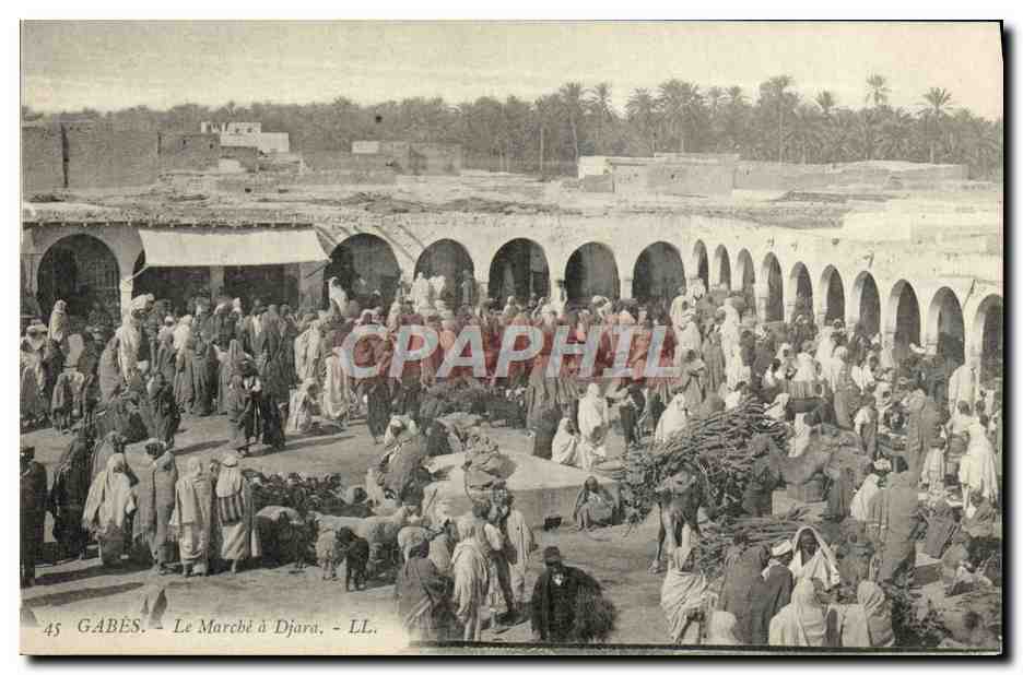 CPA Gabes Le Marche A Djara Chameaux