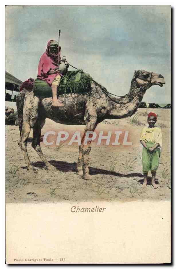 CPA Chamelier Chameau