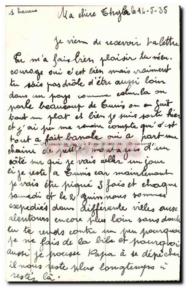 CPA Tozeur Chemin dans la Palmeraie — Rückseite