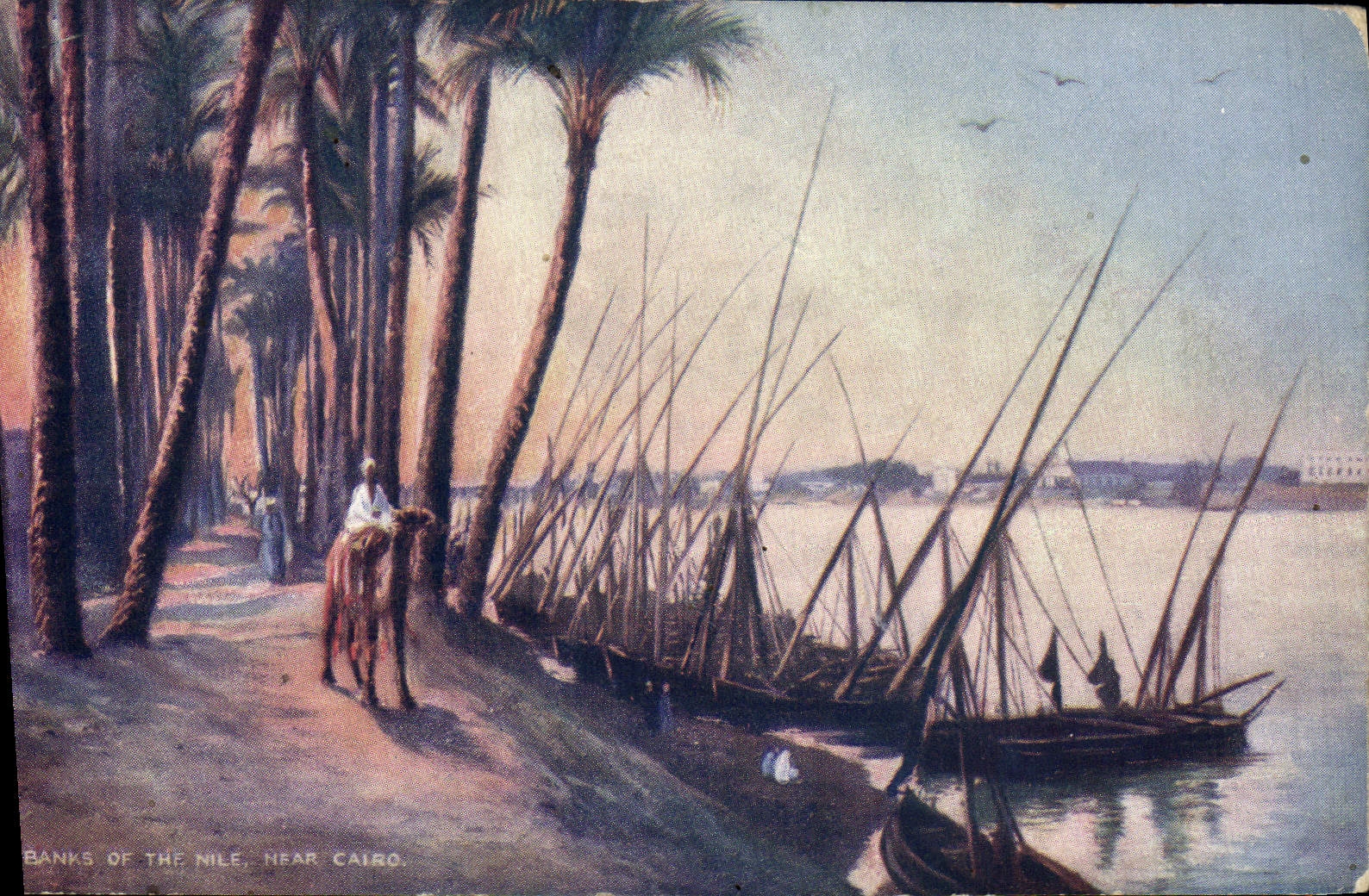Banks of the Nile, near Cairo — Tuck's Post Card, série 7301