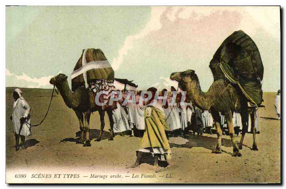 CPA Scenes Et Types Mariage Arabe Les fiances Chameaux