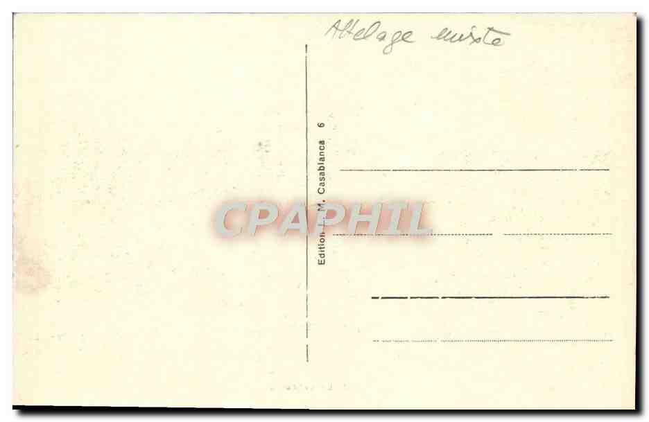CPA Le Laboureur Tunisie Ane Mule chameau — Verso