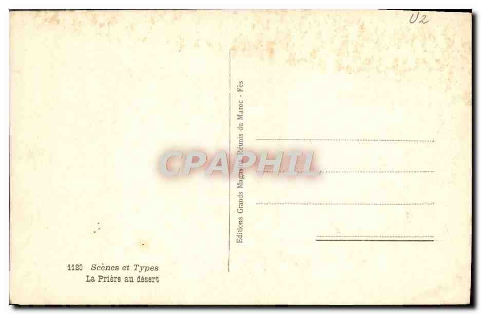 CPA Scenes et Types La Priere au desert Chameau — Rückseite
