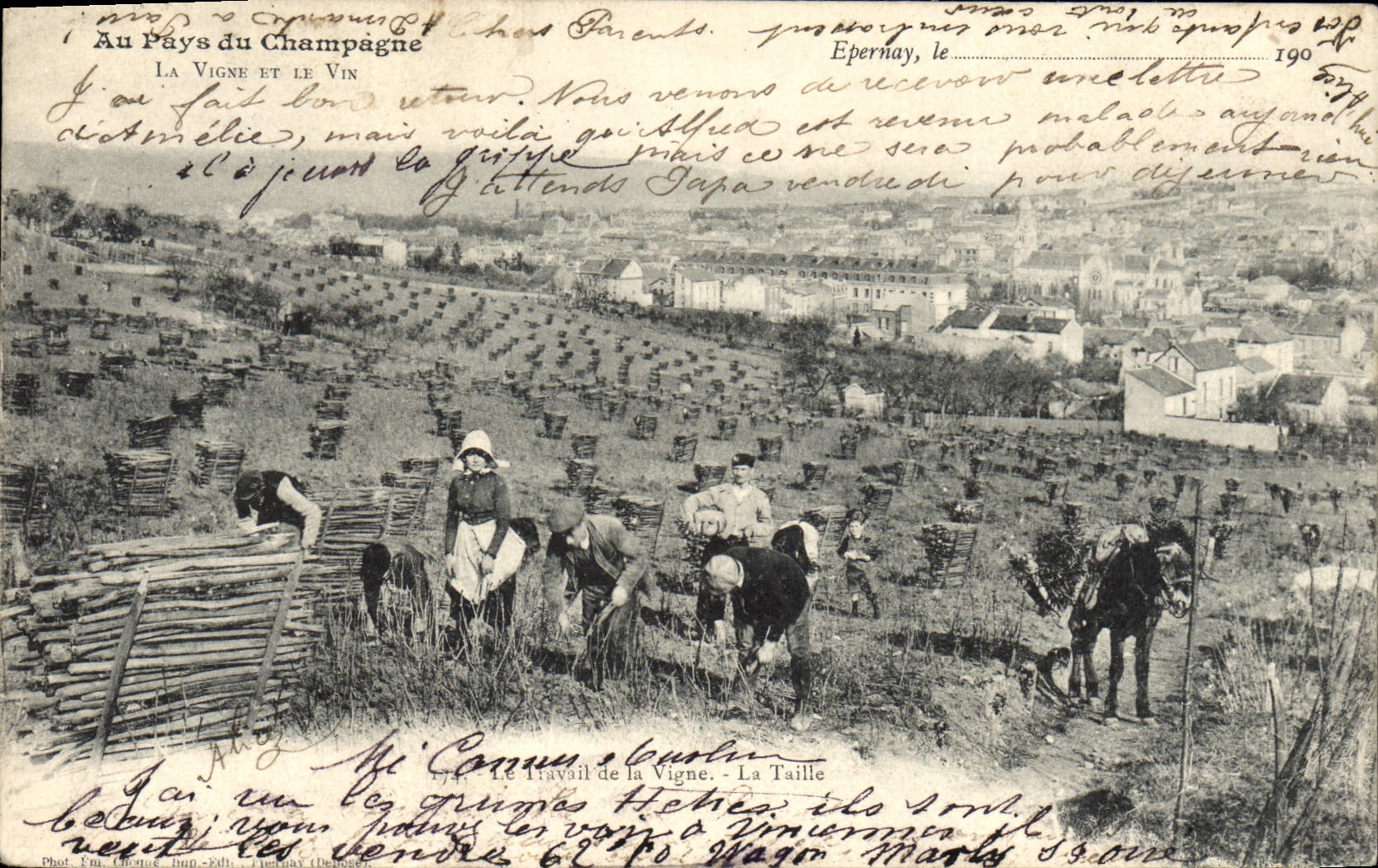 CPA Au Pays Du Champagne Le travail de la vigne TOP