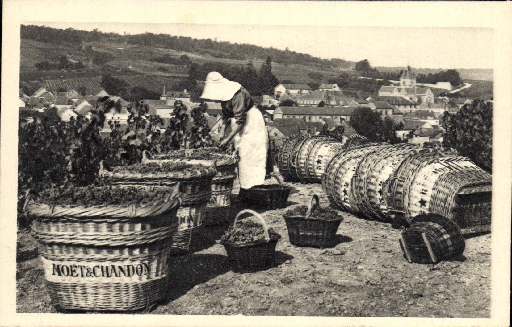 Traubenlese-Szene — Le Mesnil-sur-Oger — Moët & Chandon