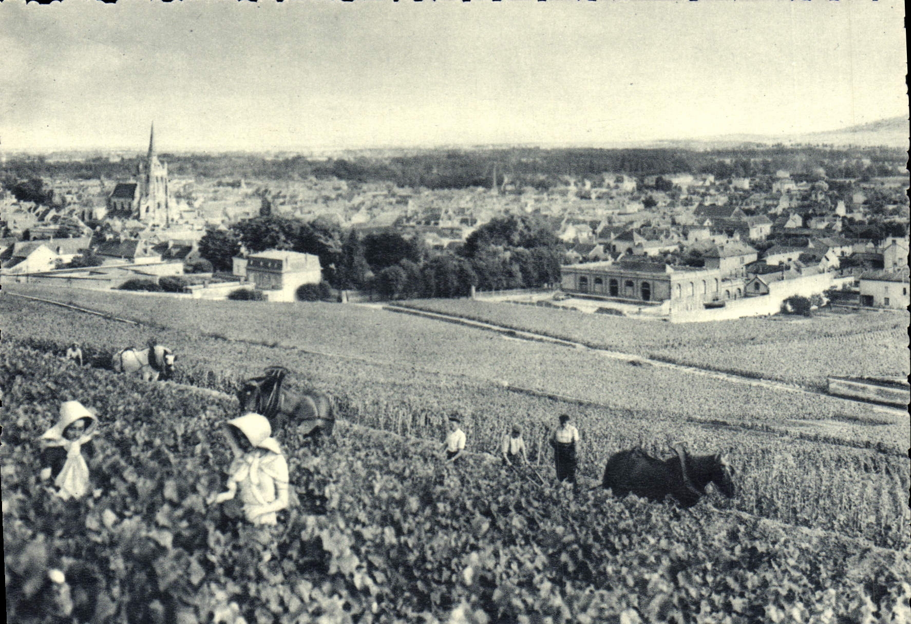 CPA Champagne Pommery Greno Reims Ay vue generale Premier cru de raisins noirs