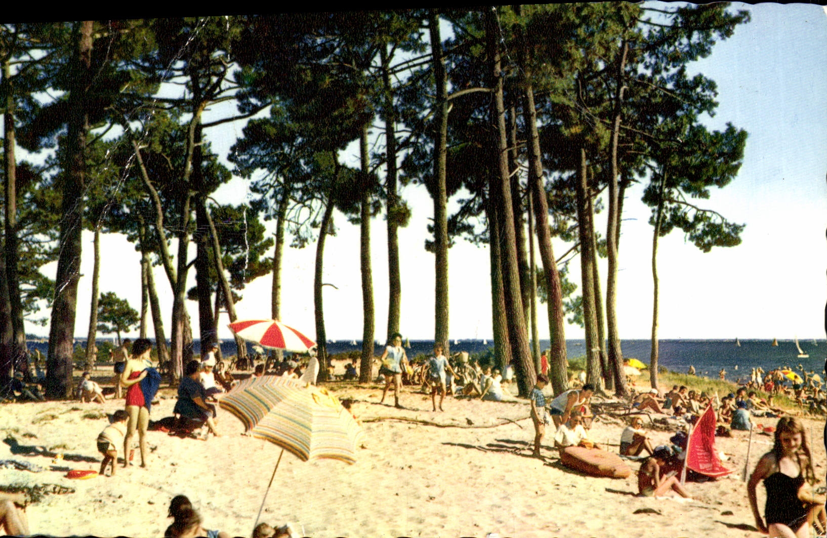 CPM Andrenos Les Bains La Plage Des Quincances