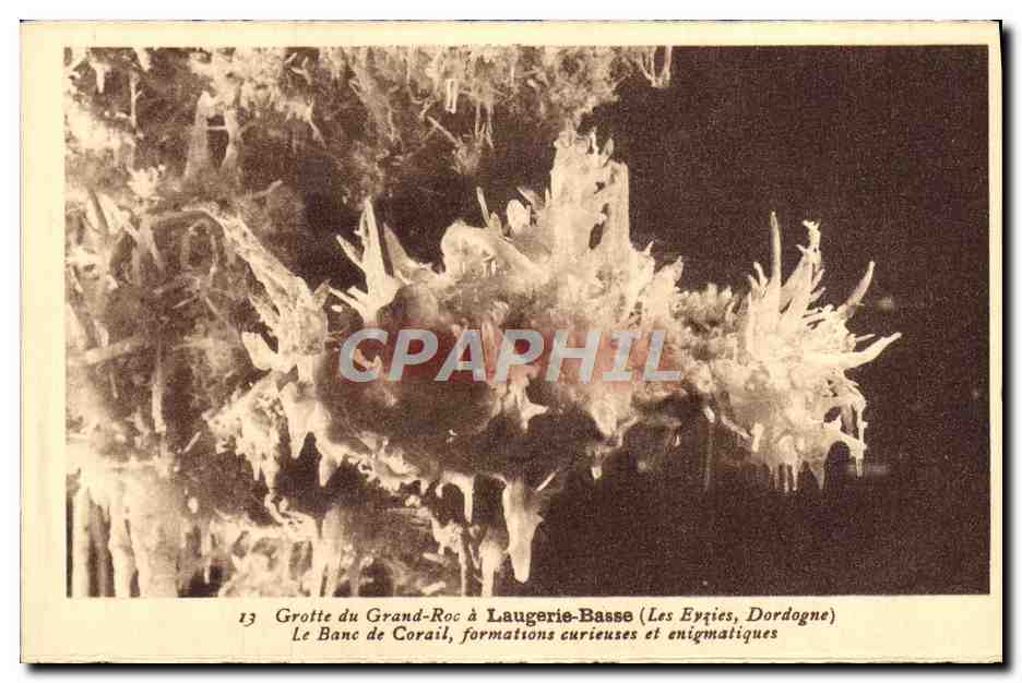 Grotte du Grand-Roc à Laugerie-Basse (Les Eygues, Dordogne) — Banc de Corail, formations curieuses et enigmatiques — n°13