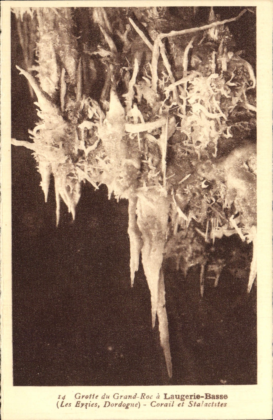 Grotte du Grand-Roc à Laugerie-Basse — Corail et Stalactites — Les Byties, Dordogne