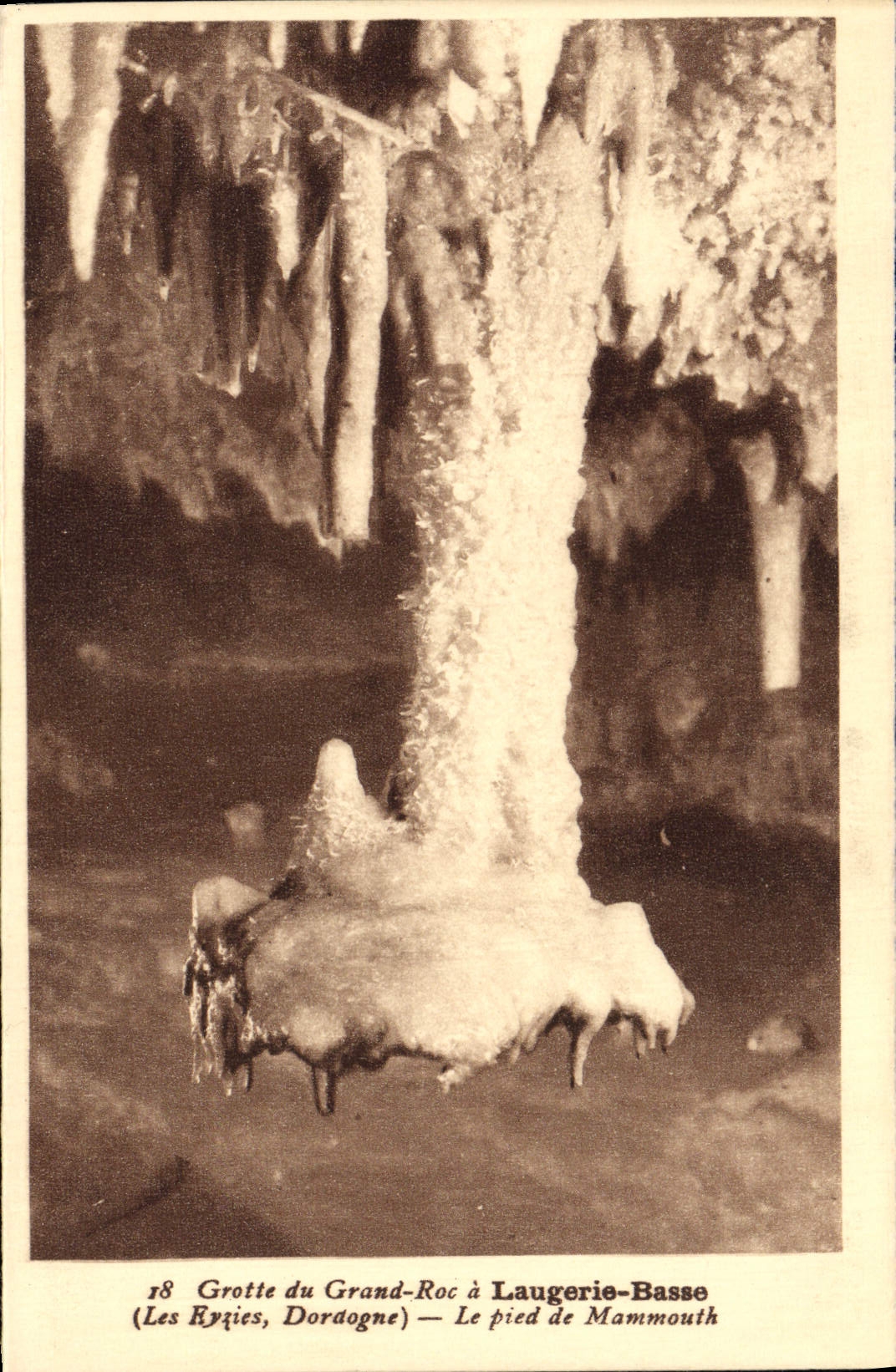 Grotte du Grand-Roc à Laugerie-Basse — Le pied de Mammouth — (Les Ryziès, Dordogne)