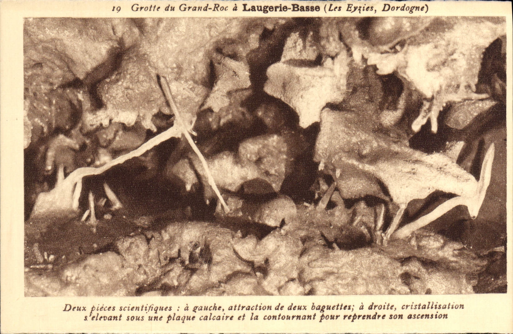 Grotte du Grand-Roc à Laugerie-Basse (Les Eyriès, Dordogne) — n°19 — éditeur CPAPHIL