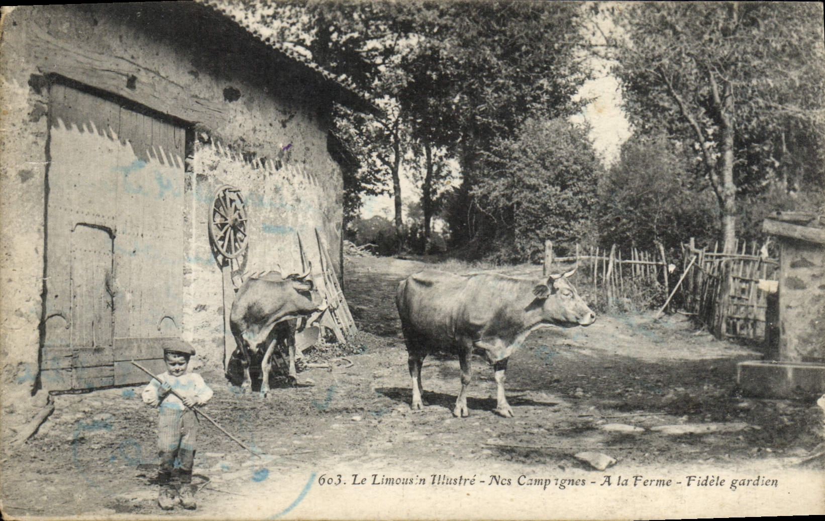 CPA Le Limousin Illustre Campagnes Ferme Fidele Gardien Vache Enfants