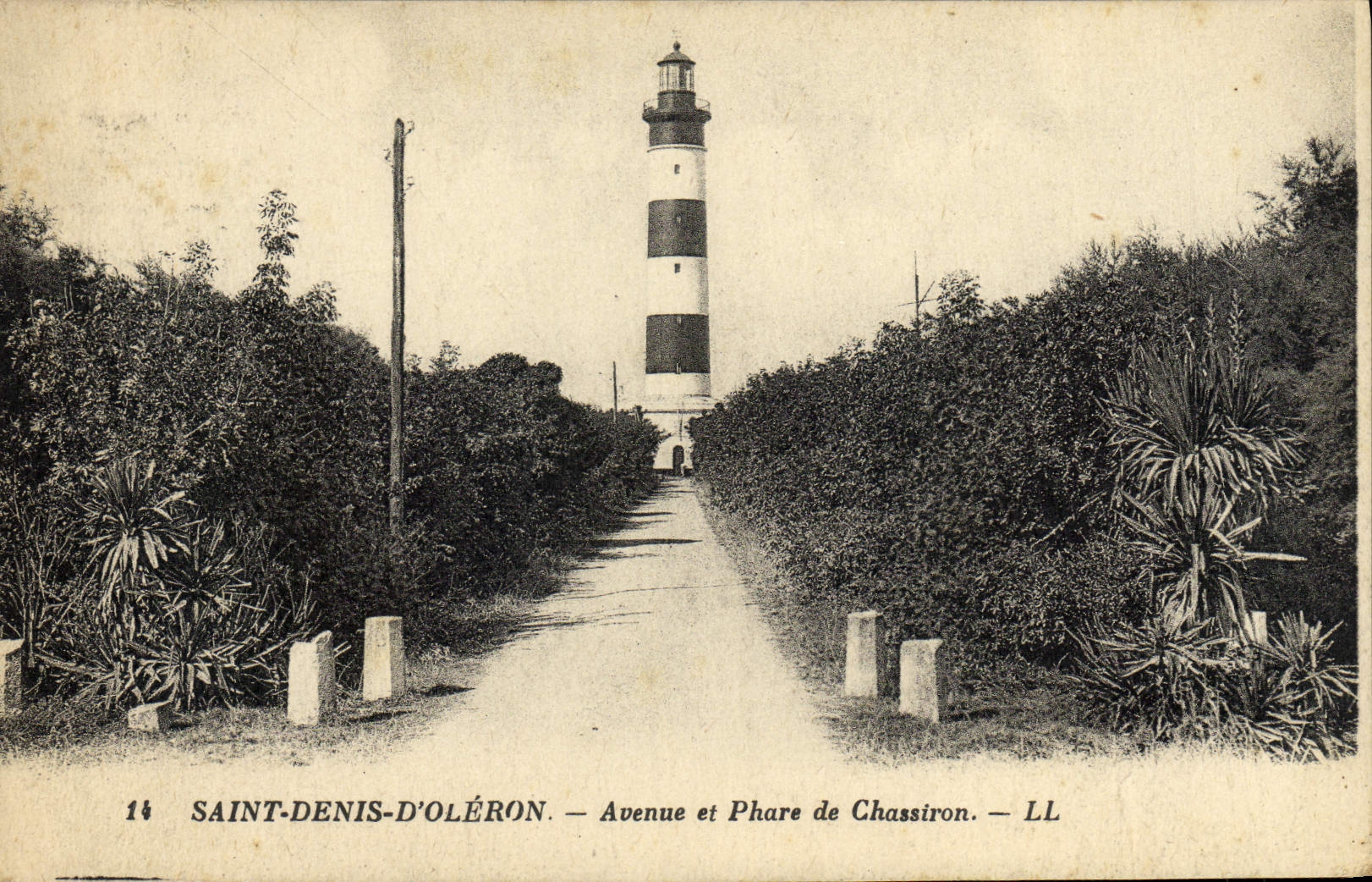 CPA Saint Denis D'Oleron Avenue et Phare de Chassiron
