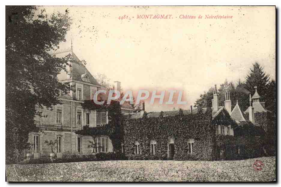 CPA Montagnat Chateau De Noirefontaine