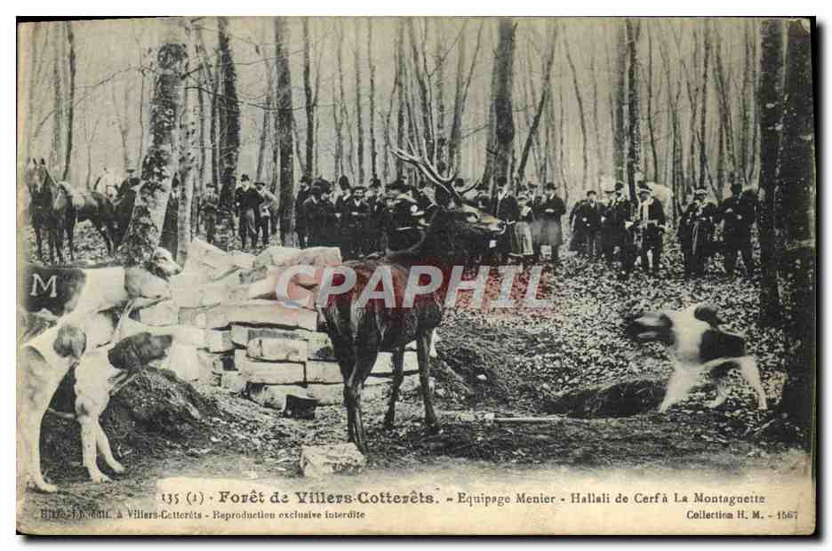 Forêt de Villers-Cotterêts — Hallali de Cerf à La Montagneite — Équipage Menier — Collection H. M. — 1907