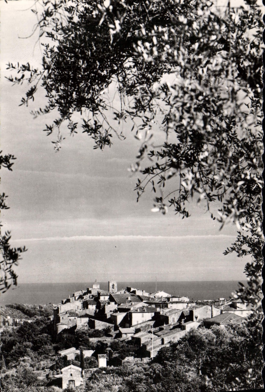 CPM Biot Vue d'Ensemble