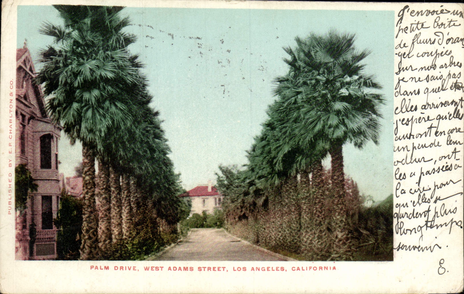 CPA Palm Drive West Adams Street Los Angeles California