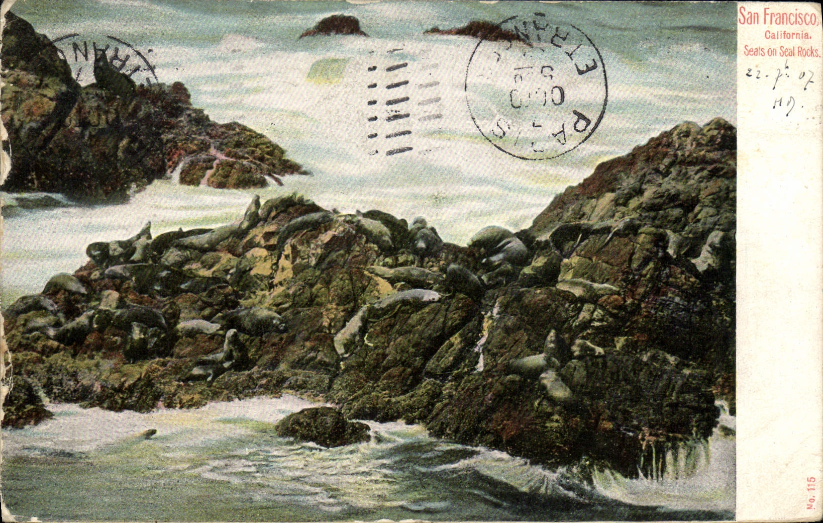 CPA San Francisco California Seals on sea rocks Phoques