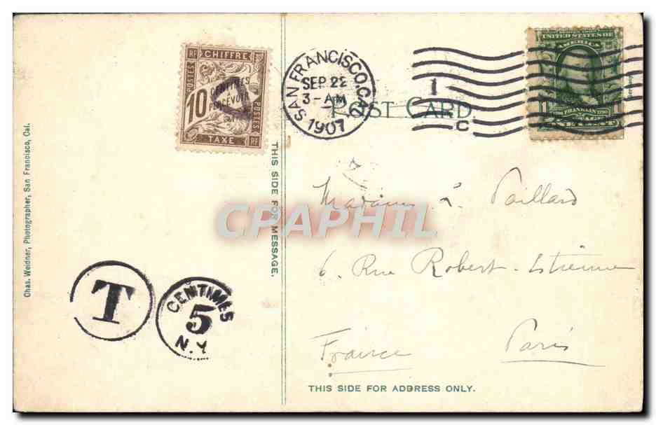 CPA San Francisco California Seals on sea rocks Phoques — Rückseite