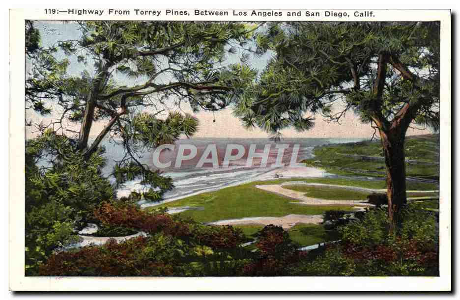 CPA Highway From Torrey Pines Between Los Angeles And San Diego Calif