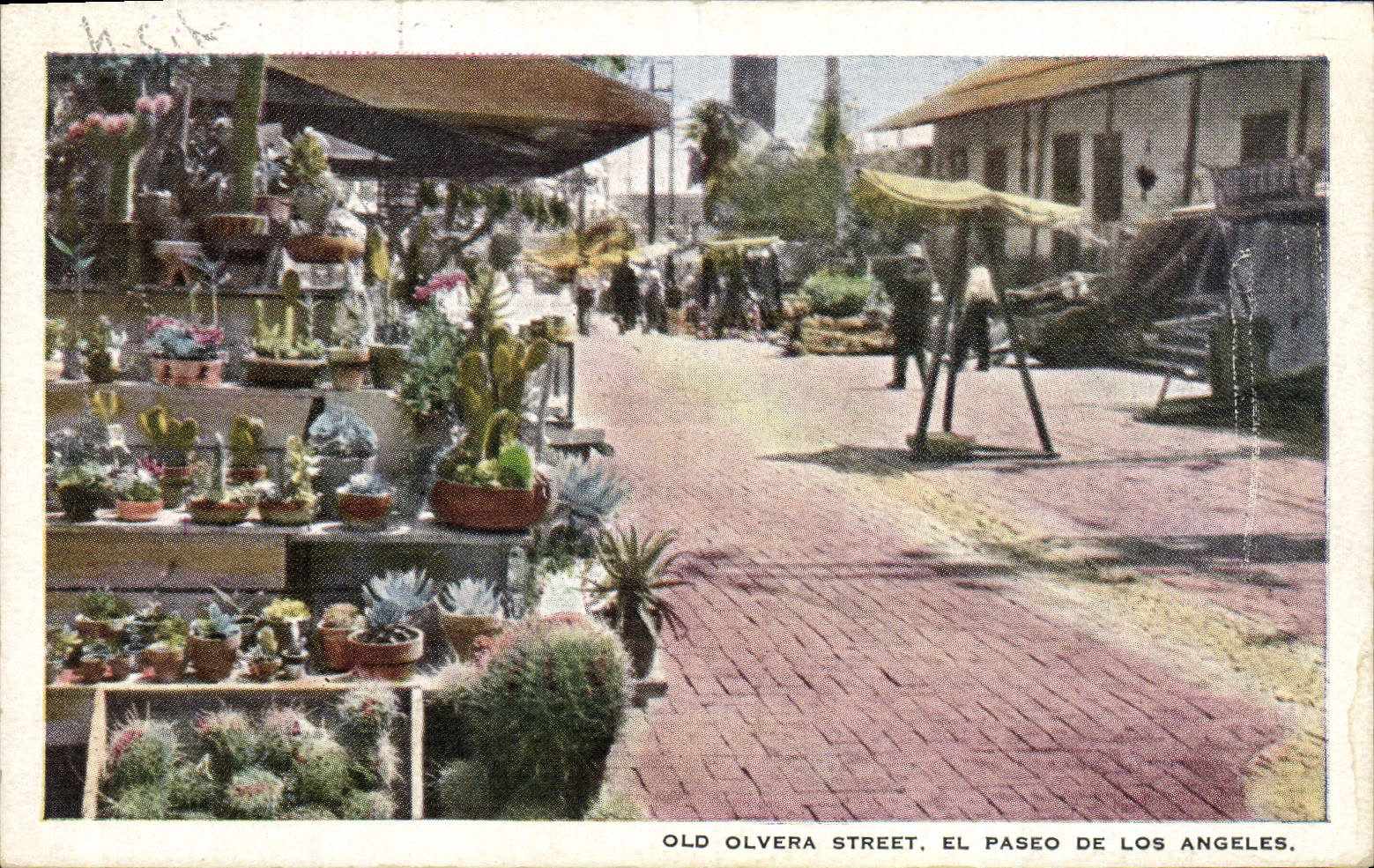 CPA Old Olvera Street El Paseo De Los Angeles Cactus
