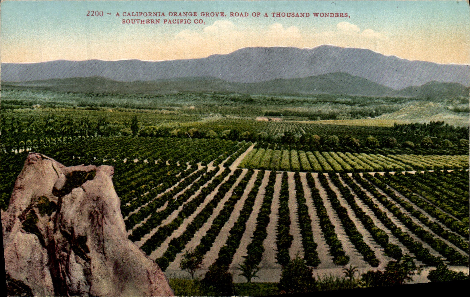 CPA A California Orange Grove Road Of A Thousand Wonders Southern Pacific Co