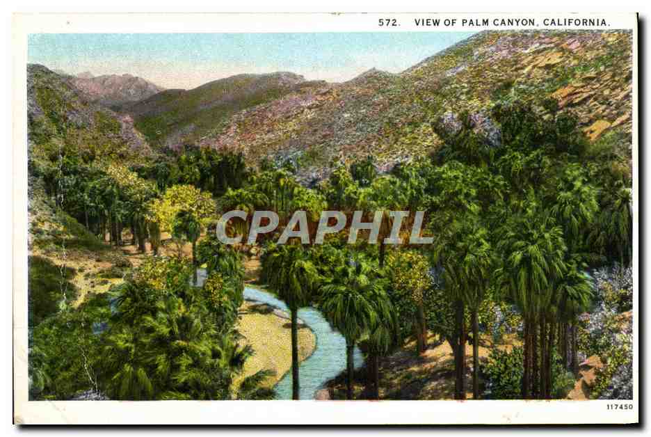 CPA View Of Palm Canyon California